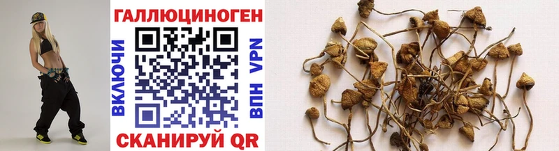 Галлюциногенные грибы GOLDEN TEACHER Южно-Сухокумск